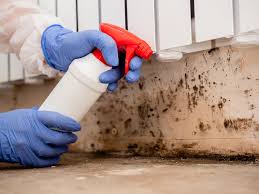 Best Industrial Mold Remediation  in Monsey, NY